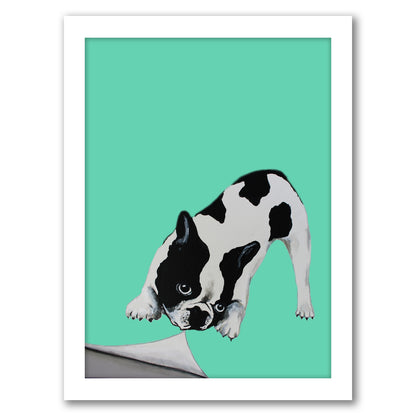 Bulldog Turning Paper By Coco De Paris - White Framed Print