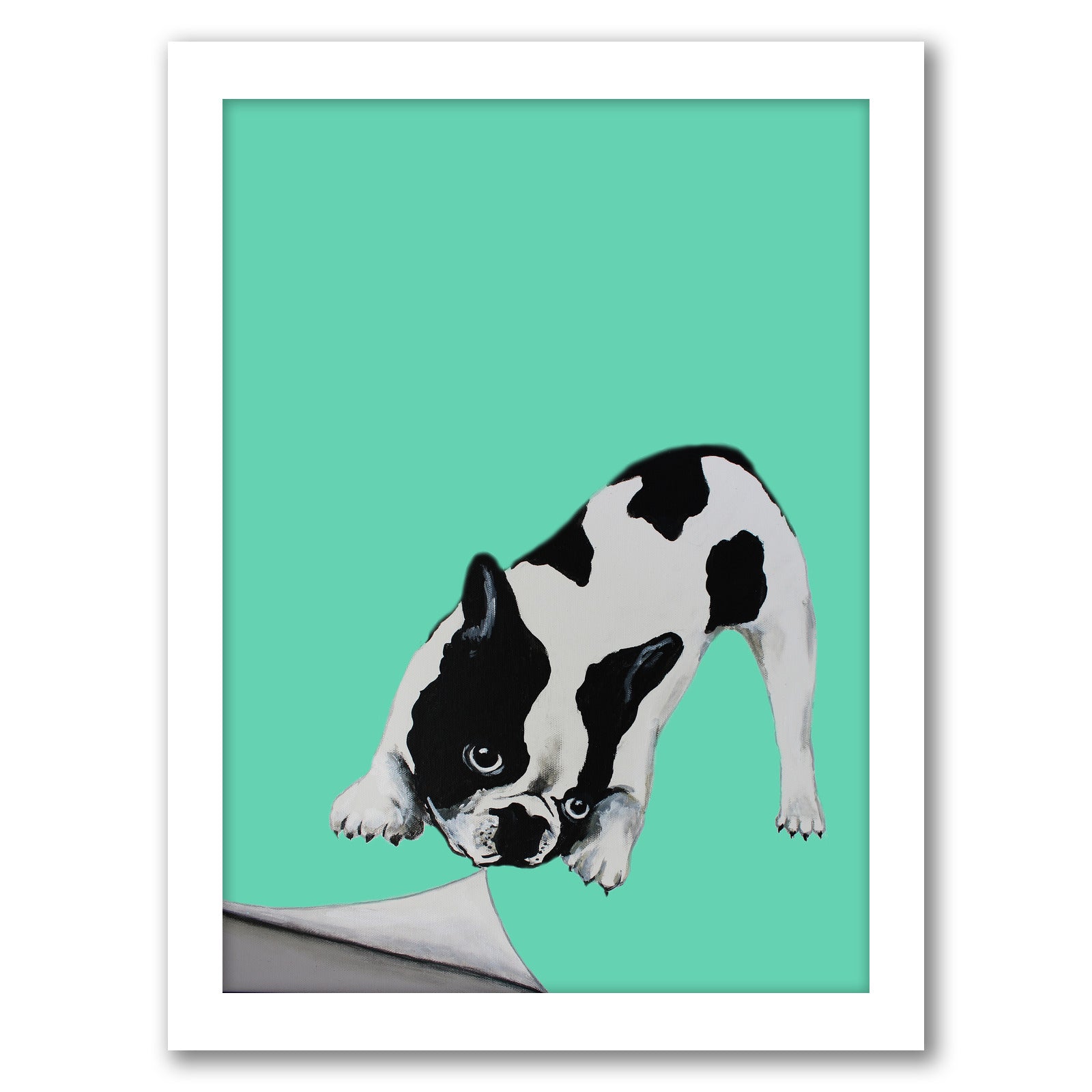 Bulldog Turning Paper By Coco De Paris - Framed Print